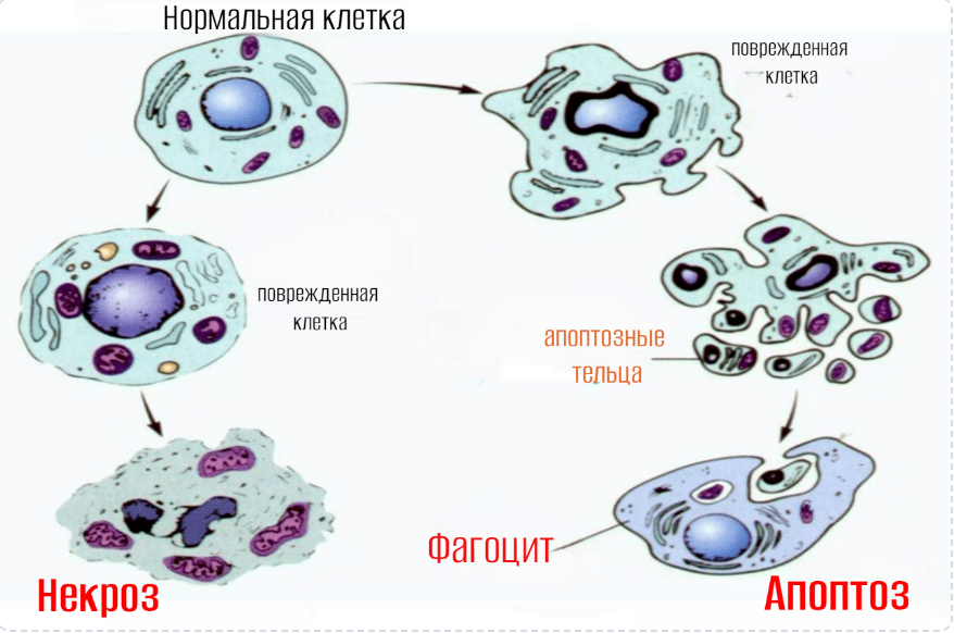 Скриншот 06.09.24_16.27.16.png