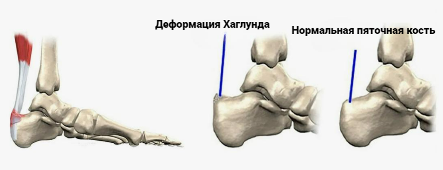 Скриншот 12.09.24_16.44.54.png